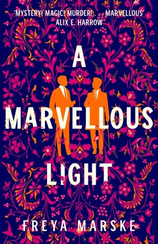 Cover image for 9781529080889 - A Marvellous Light