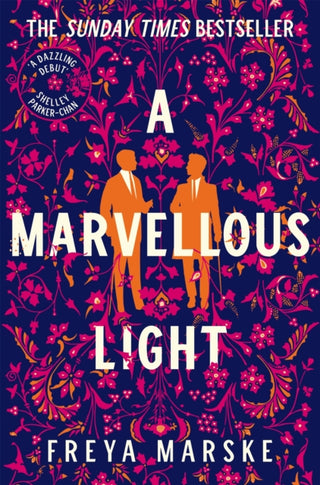 Cover image for 9781529080902 - A Marvellous Light