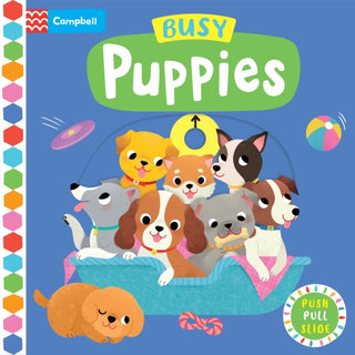 Cover image for 9781529084771 - Busy Puppies