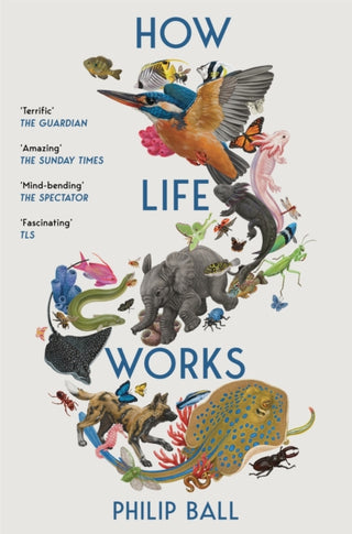 Cover image for 9781529096002 - How Life Works
