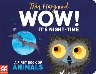 Cover image for 9781529098969 - WOW! It's Night-time