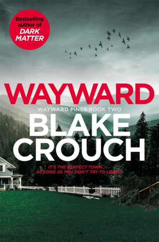 Cover image for 9781529099850 - Wayward