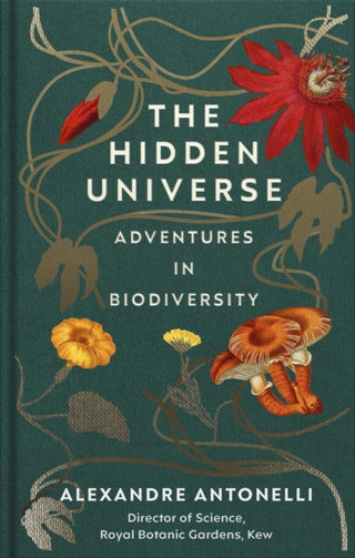 Cover image for 9781529109160 - The Hidden Universe