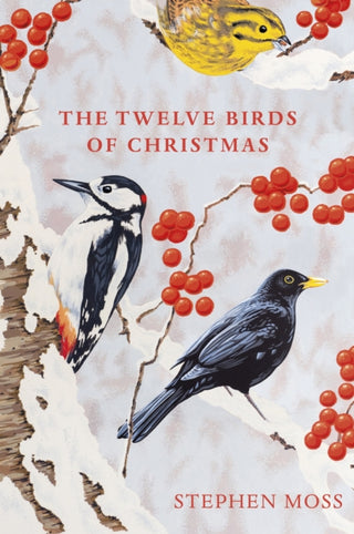 Cover image for 9781529110104 - The Twelve Birds of Christmas