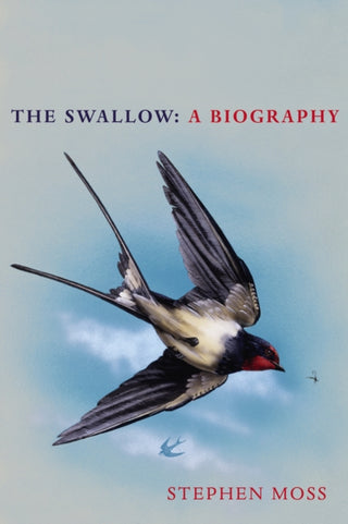 Cover image for 9781529110265 - The Swallow