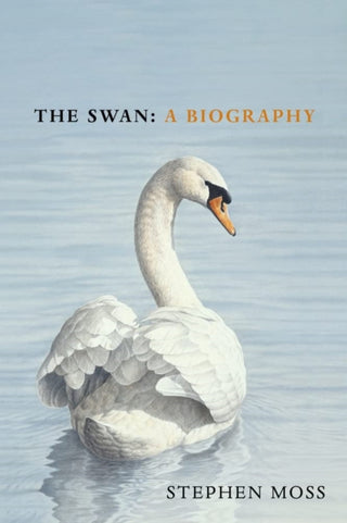 Cover image for 9781529110371 - The Swan
