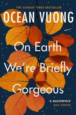 Cover image for 9781529110685 - On Earth We're Briefly Gorgeous