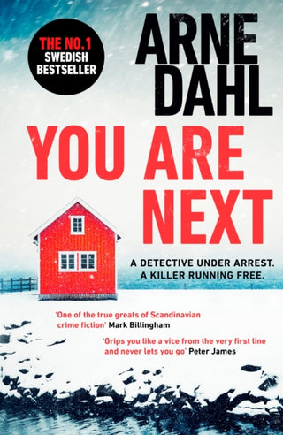 Supplemental image for 9781529111477 - You Are Next