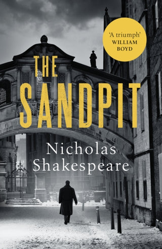 Cover image for 9781529111842 - The Sandpit