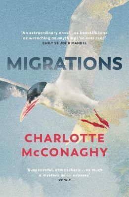 Cover image for 9781529111866 - Migrations