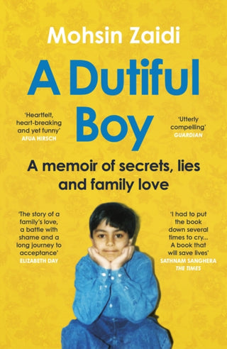 Cover image for 9781529112207 - A Dutiful Boy
