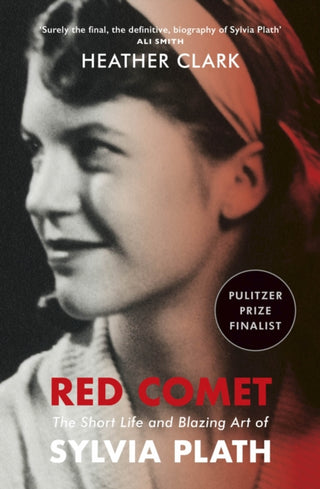 Cover image for 9781529113143 - Red Comet