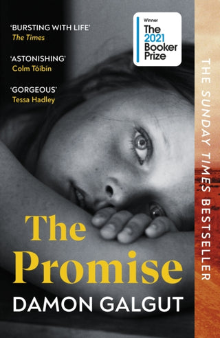 Cover image for 9781529113877 - The Promise