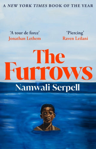 Supplemental image for 9781529115550 - The Furrows