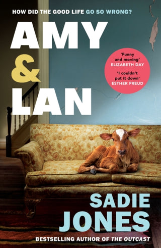 Supplemental image for 9781529116175 - Amy and Lan