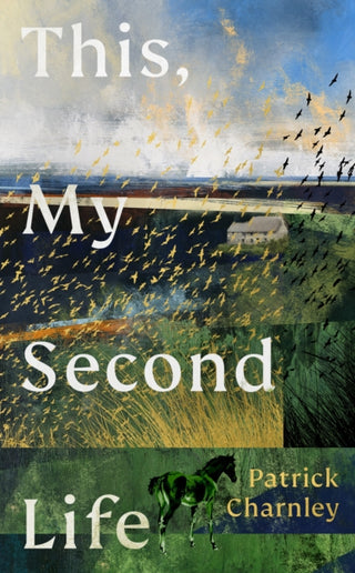 Cover image for 9781529155259 - This, My Second Life