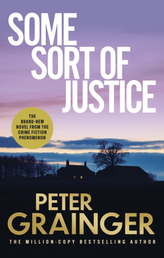 Cover image for 9781529155730 - Some Sort of Justice