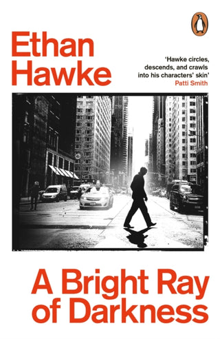 Cover image for 9781529156409 - A Bright Ray of Darkness