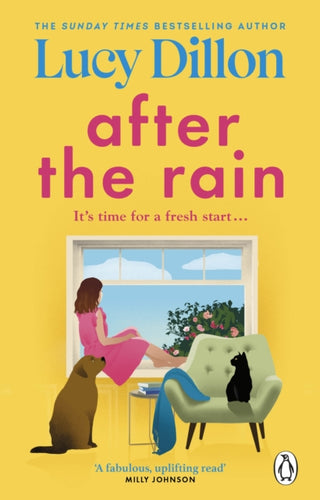 Cover image for 9781529176209 - After the Rain