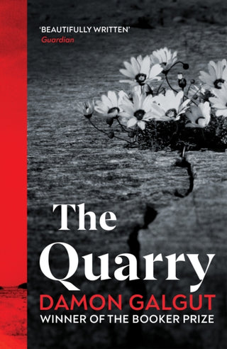 Cover image for 9781529198188 - The Quarry