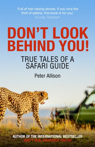 Cover image for 9781529309379 - Don't Look Behind You!