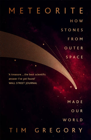 Cover image for 9781529327663 - Meteorite