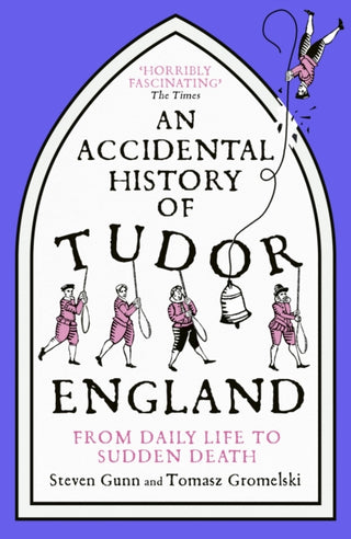 Cover image for 9781529333763 - An Accidental History of Tudor England