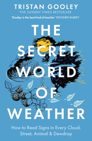 Cover image for 9781529339581 - The Secret World of Weather
