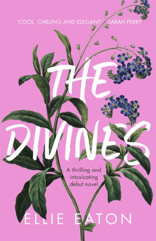 Cover image for 9781529340129 - The Divines