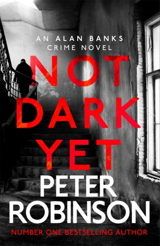 Cover image for 9781529343076 - Not Dark Yet
