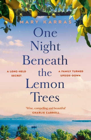 Cover image for 9781529345629 - One Night Beneath the Lemon Trees