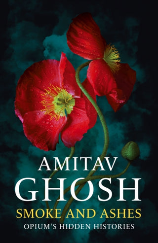 Cover image for 9781529349245 - Smoke And Ashes