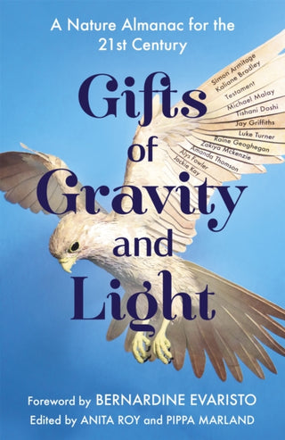 Cover image for 9781529363197 - Gifts of Gravity and Light