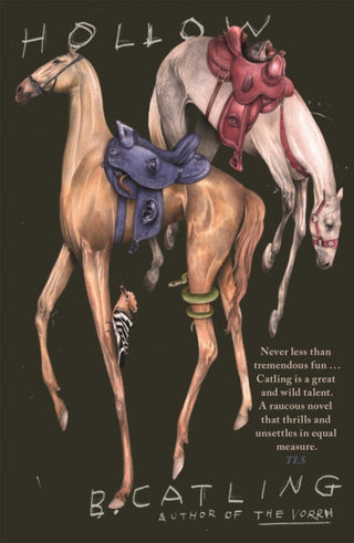 Cover image for 9781529366464 - Hollow