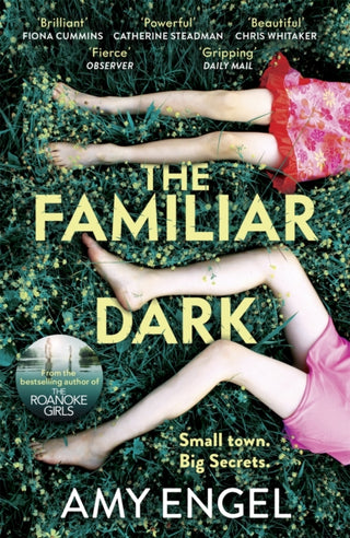 Cover image for 9781529368116 - The Familiar Dark