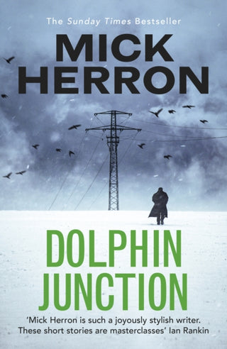 Cover image for 9781529371284 - Dolphin Junction