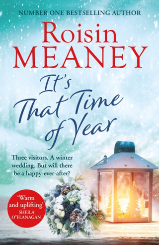 Cover image for 9781529375190 - It's That Time of Year