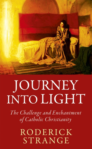 Cover image for 9781529380002 - Journey into Light