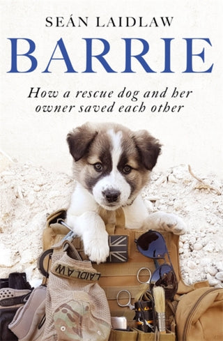 Cover image for 9781529380682 - Barrie