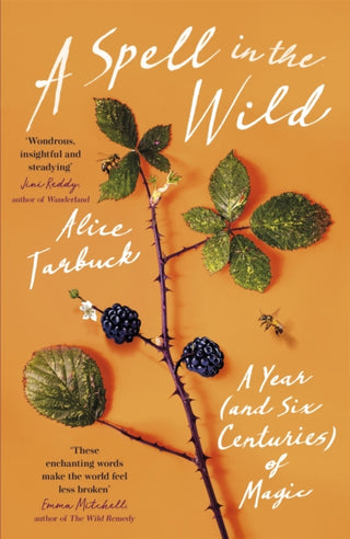 Cover image for 9781529380866 - A Spell in the Wild