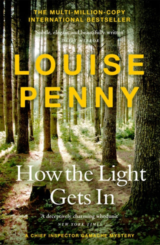 Supplemental image for 9781529386363 - How The Light Gets In