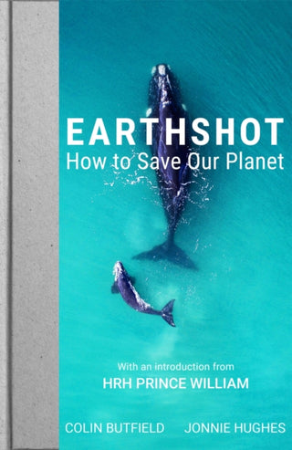 Cover image for 9781529388626 - Earthshot