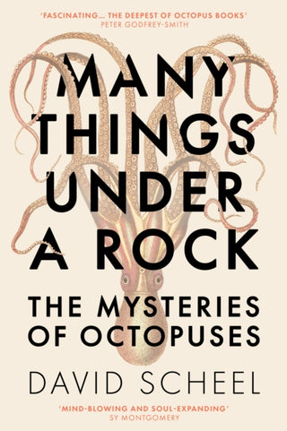 Cover image for 9781529392609 - Many Things Under a Rock