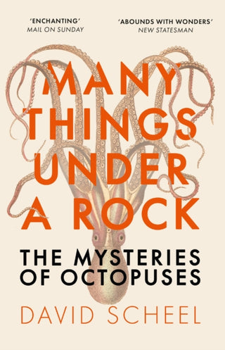Cover image for 9781529392647 - Many Things Under a Rock