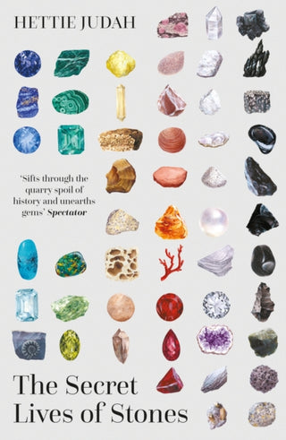 Cover image for 9781529394955 - The Secret Lives of Stones