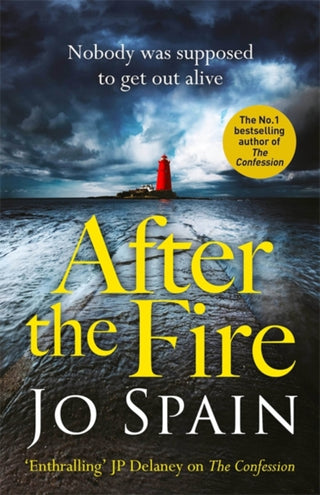 Cover image for 9781529400311 - After the Fire