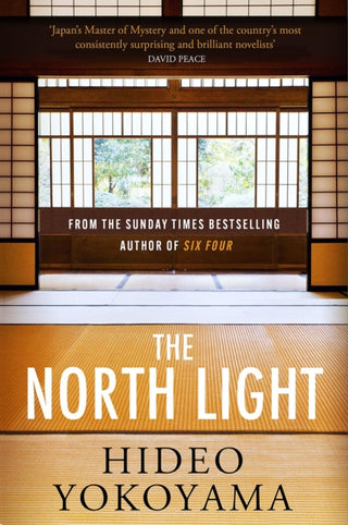 Cover image for 9781529411133 - The North Light