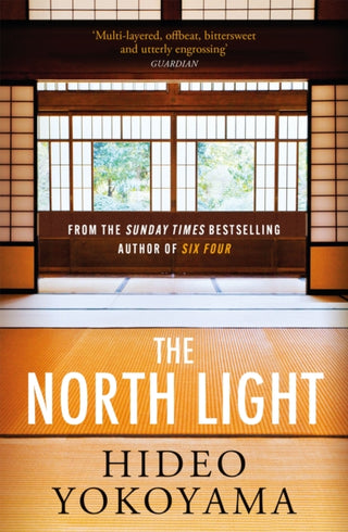 Cover image for 9781529411164 - The North Light