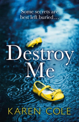 Cover image for 9781529413618 - Destroy Me