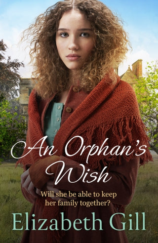 Cover image for 9781529421071 - An Orphan's Wish